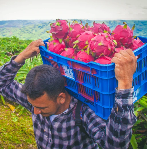 Man Carrying Harvest on His Back