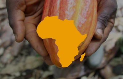 Hands holding a cocoa pod with an outline of the African continent superimposed on it.