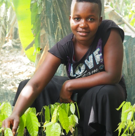 Women Harvesting Cocoa