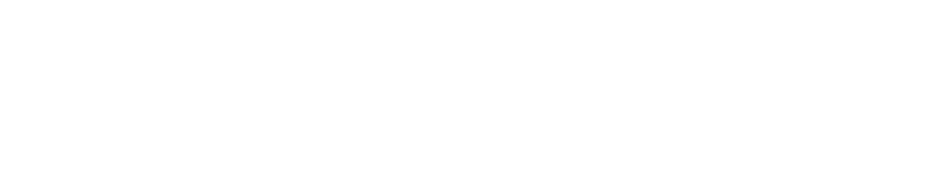Technoserve