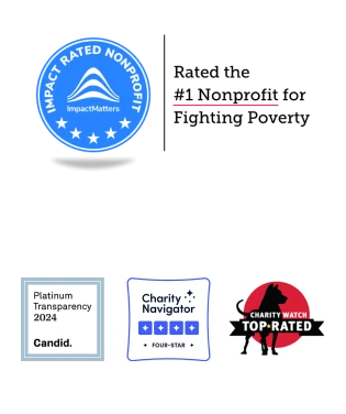TechnoServe Badges