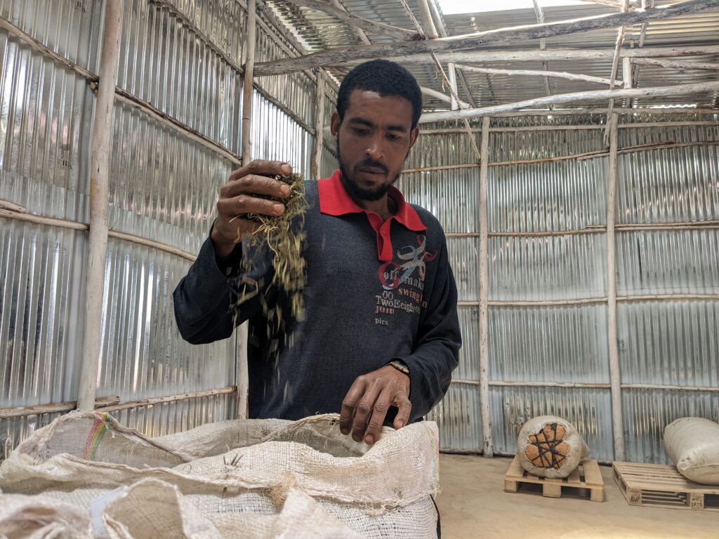 A man in a metal-walled building holds a sack of plant material, possibly herbs, looking serious. Industrial sacks are stacked on pallets behind him. Part of a blog post on the economic impact of sustainable agriculture.