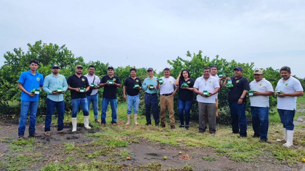 Members of the Huixcolotla Select Fruits group hold bags of limes they produced. (TechnoServe)