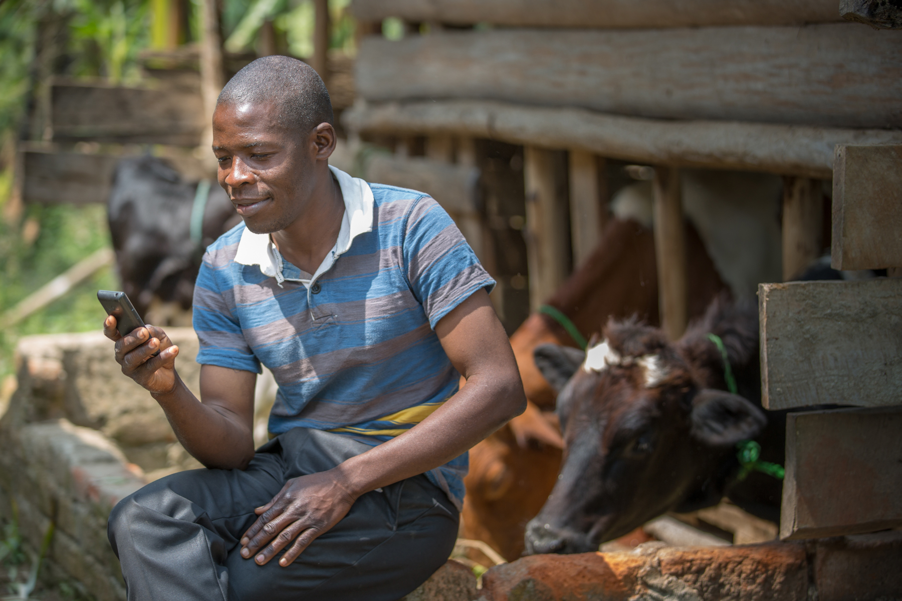 Dave Hale | Practical Applications of Geospatial Technologies (GIS)