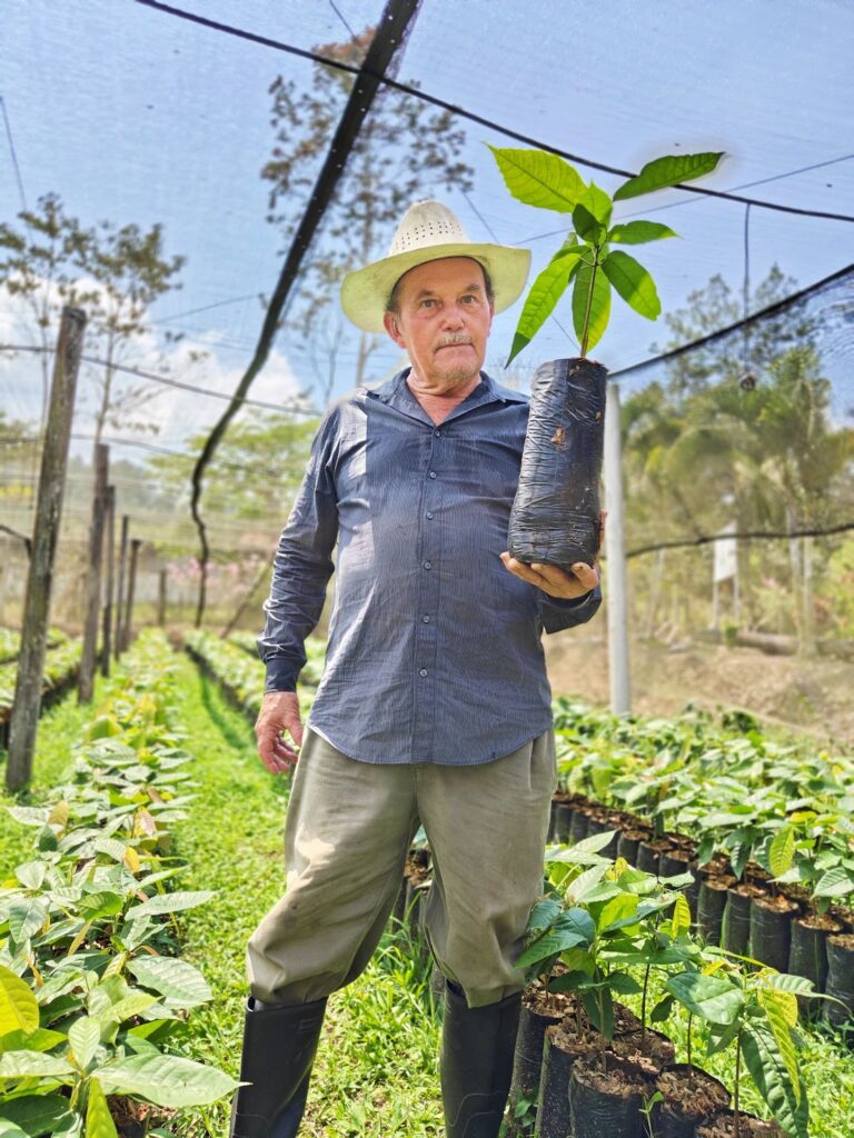 Man holding a seedling in a nursery