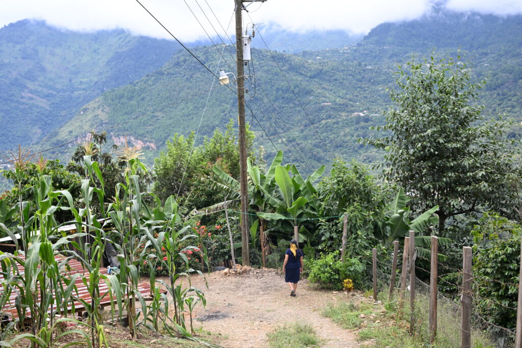 A woman walks along a pathway, surrounded by trees and mountains as a backdrop