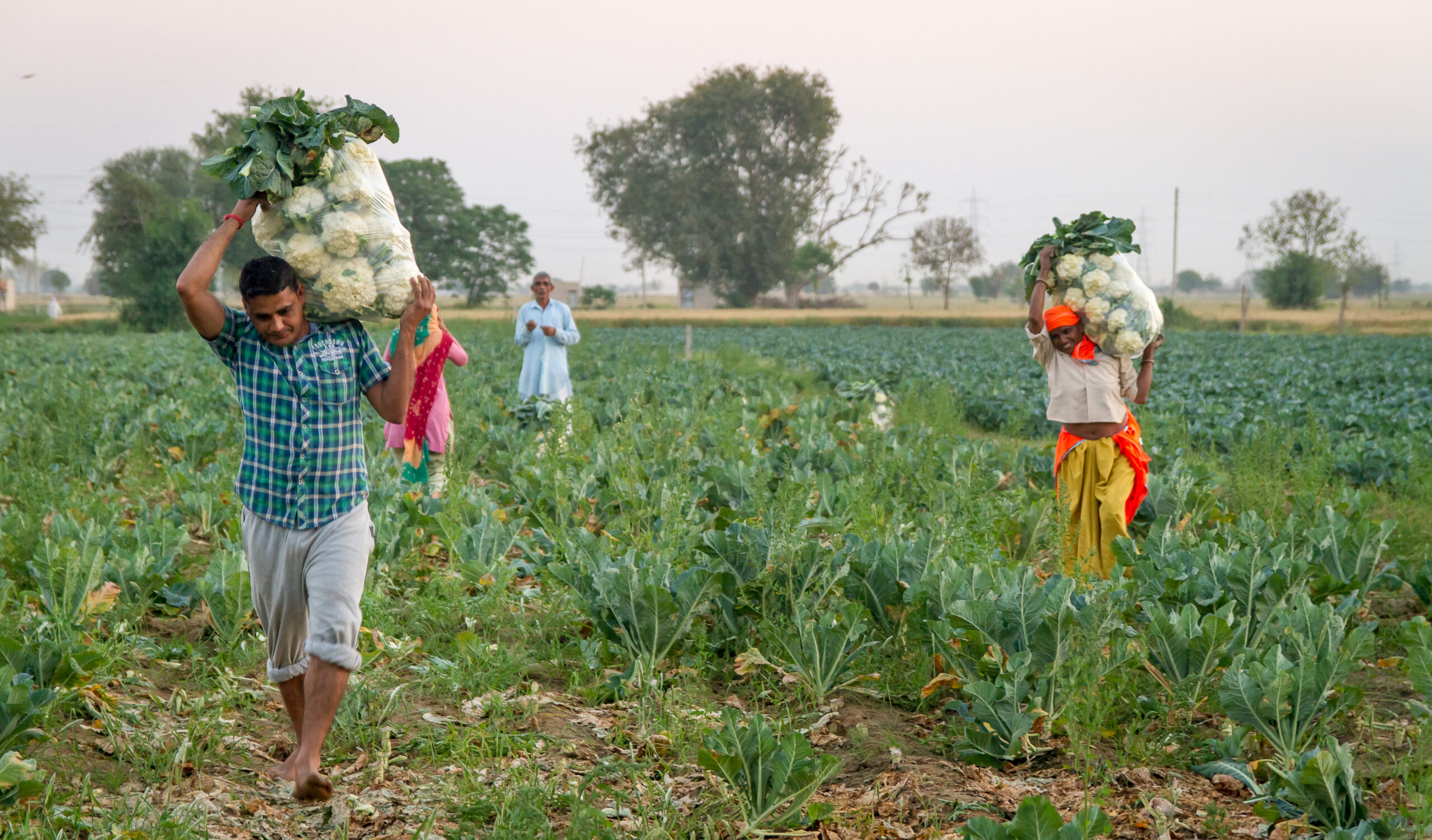 Nonprofit Impact Stories from the Field: Part 2