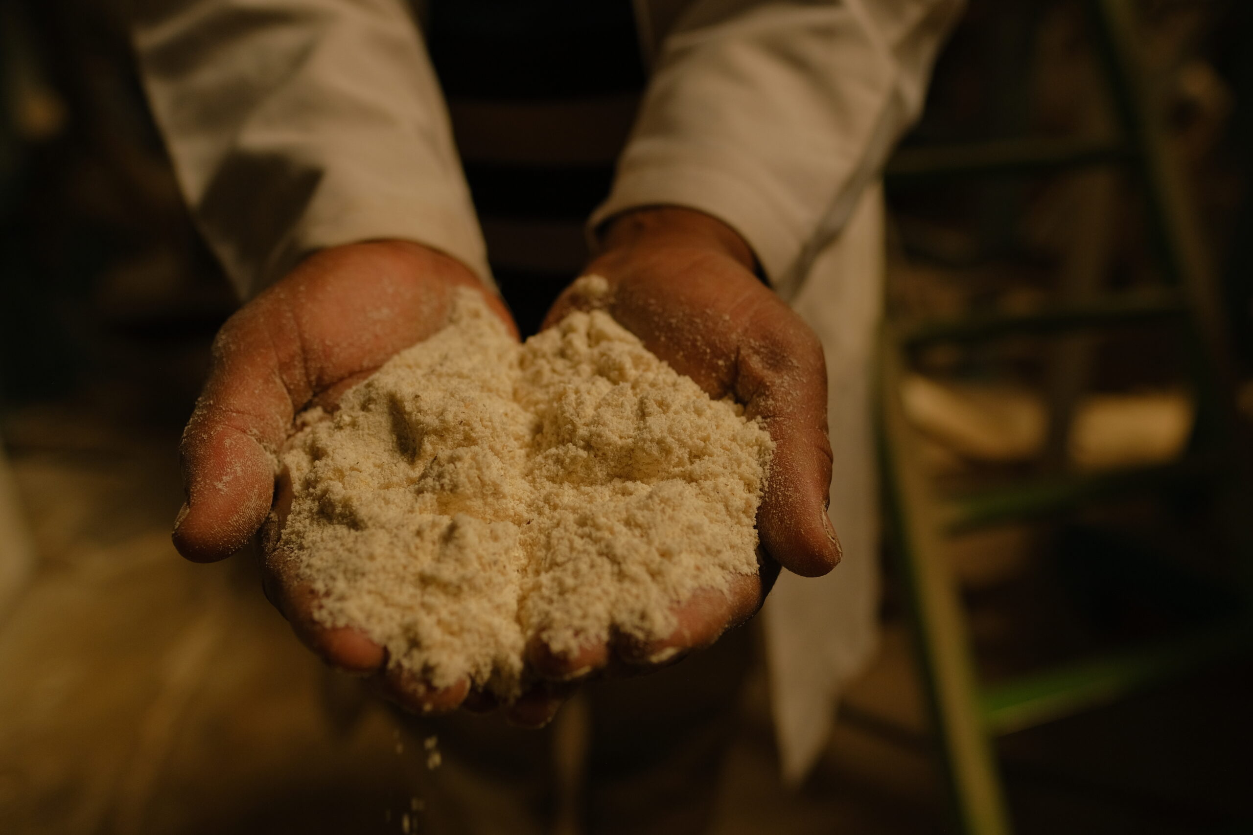 Two hands holding a flour-like substance.