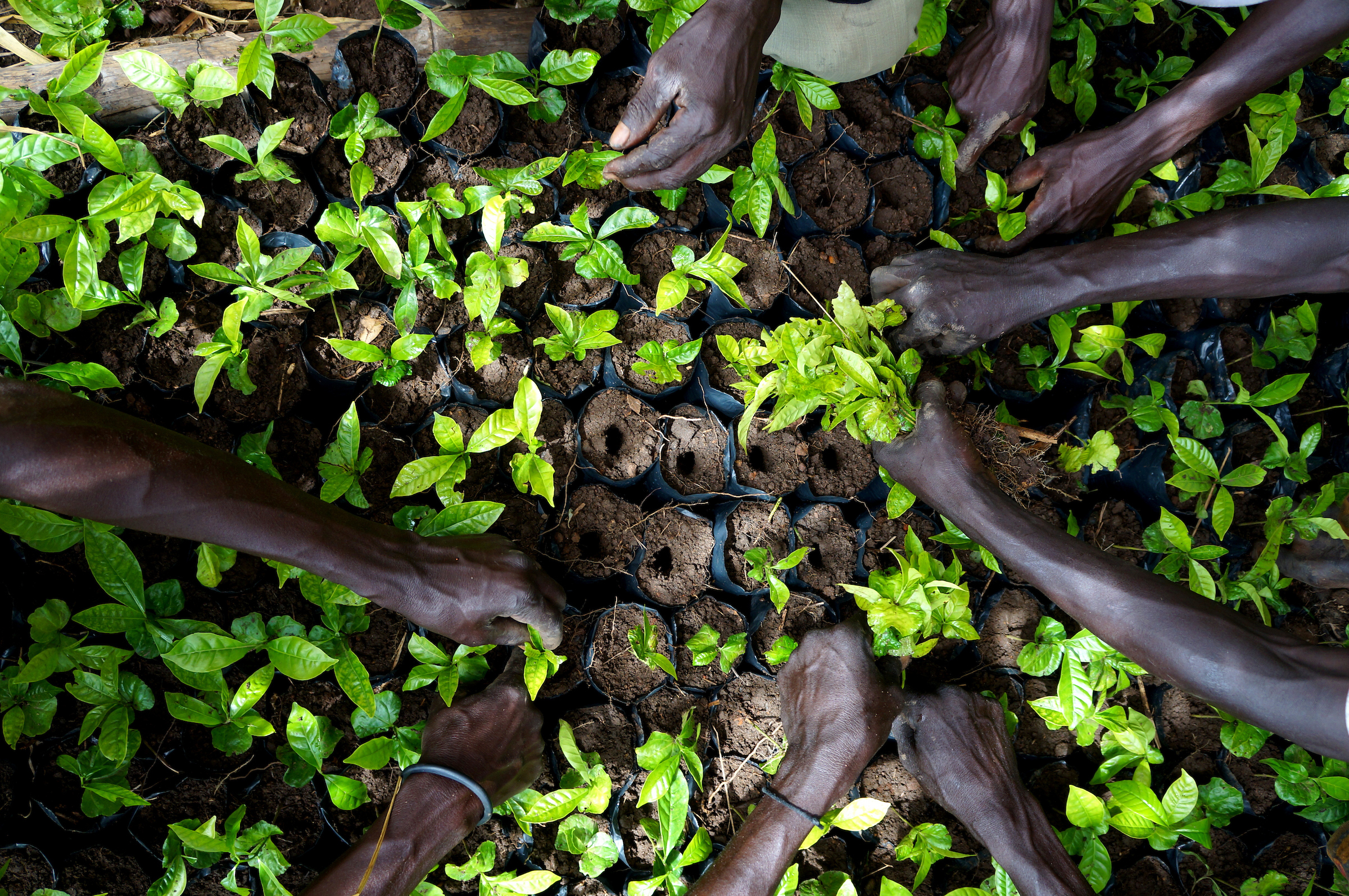 Circular Economy: A Path to Sustainable Development