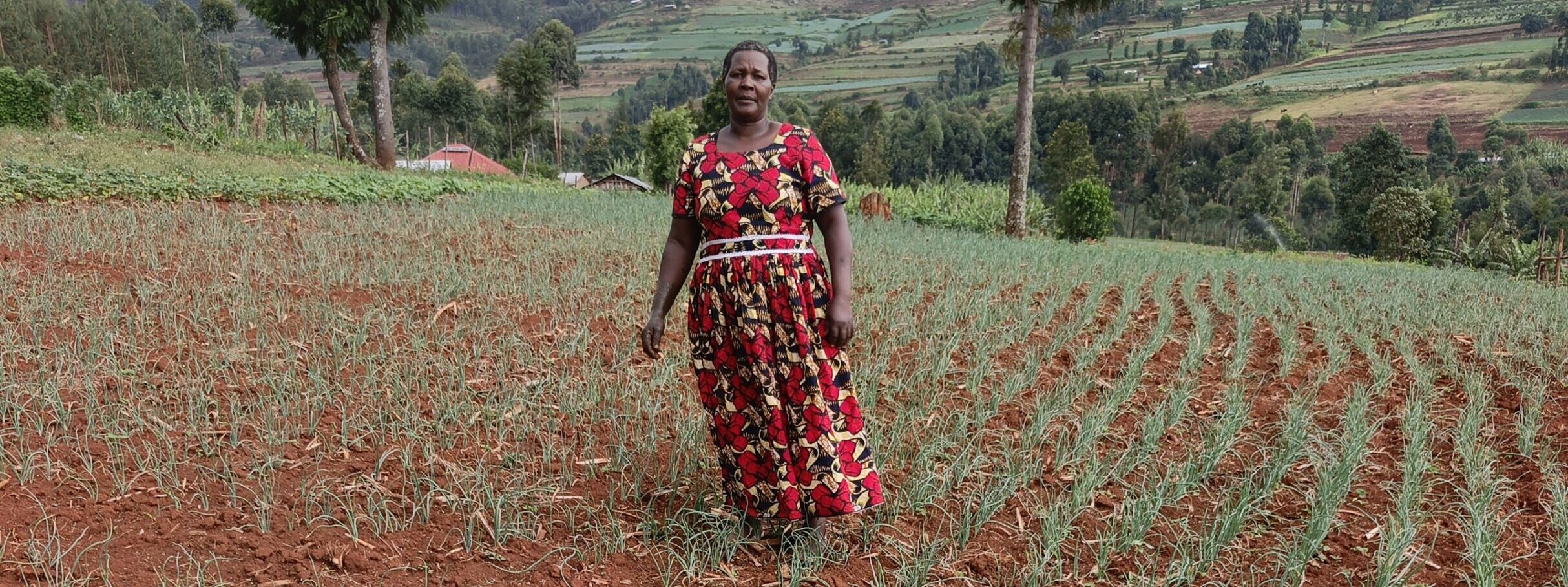 A woman stands in her field of onions in eastern Uganda. Part of a blog post on regenerative agriculture.