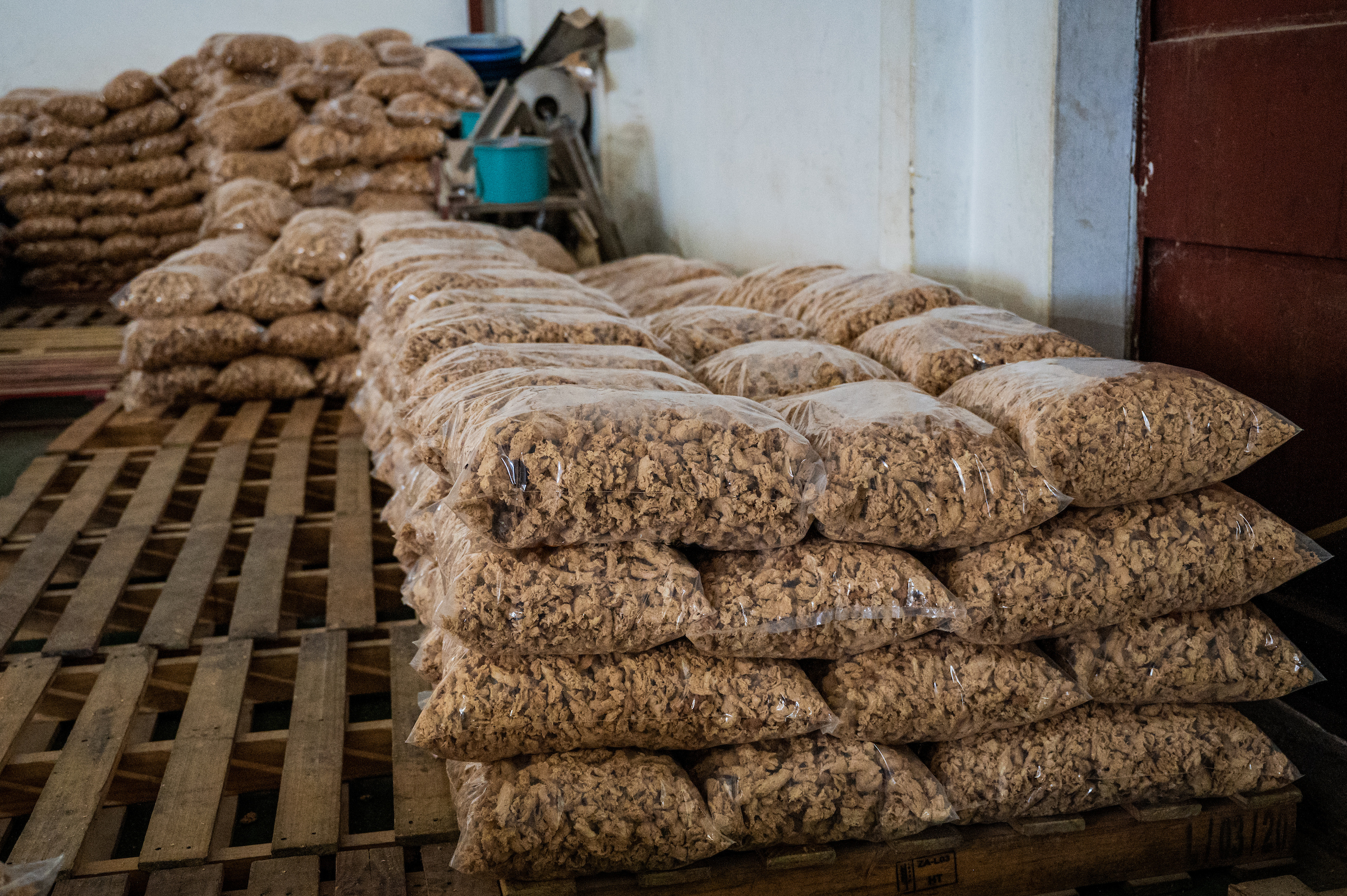 World Food Safety Day: Why It Matters and How We Can Make a Difference