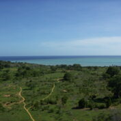 A landscape in Mozambique. Part of a TechnoServe news quiz.