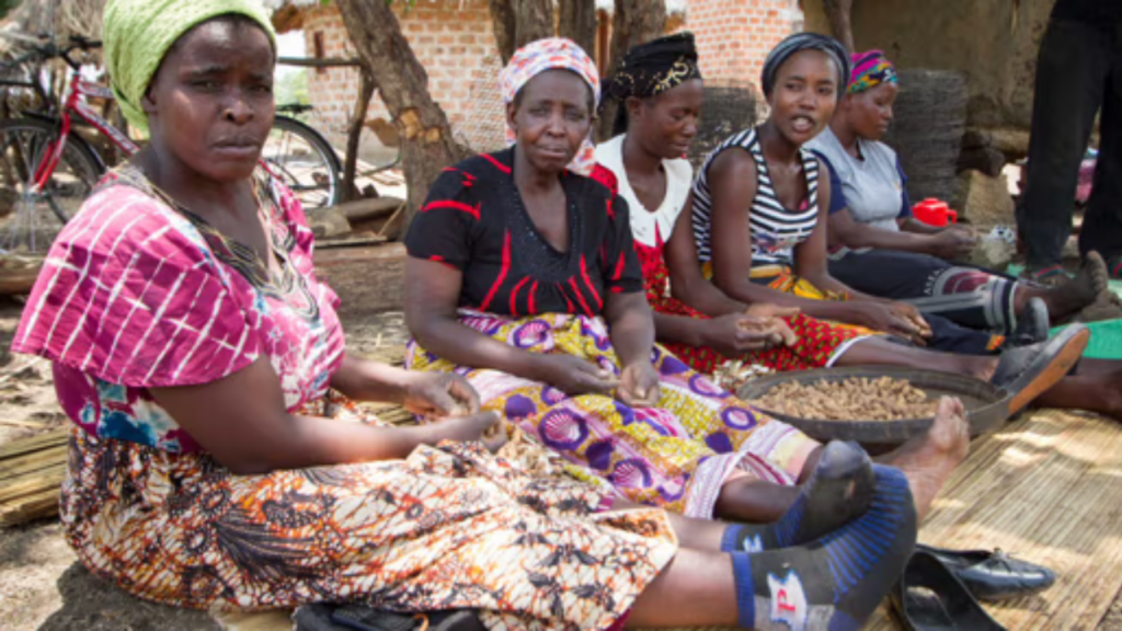 Women shelling peanuts together in a rural area, wearing colorful clothes and working as a group.