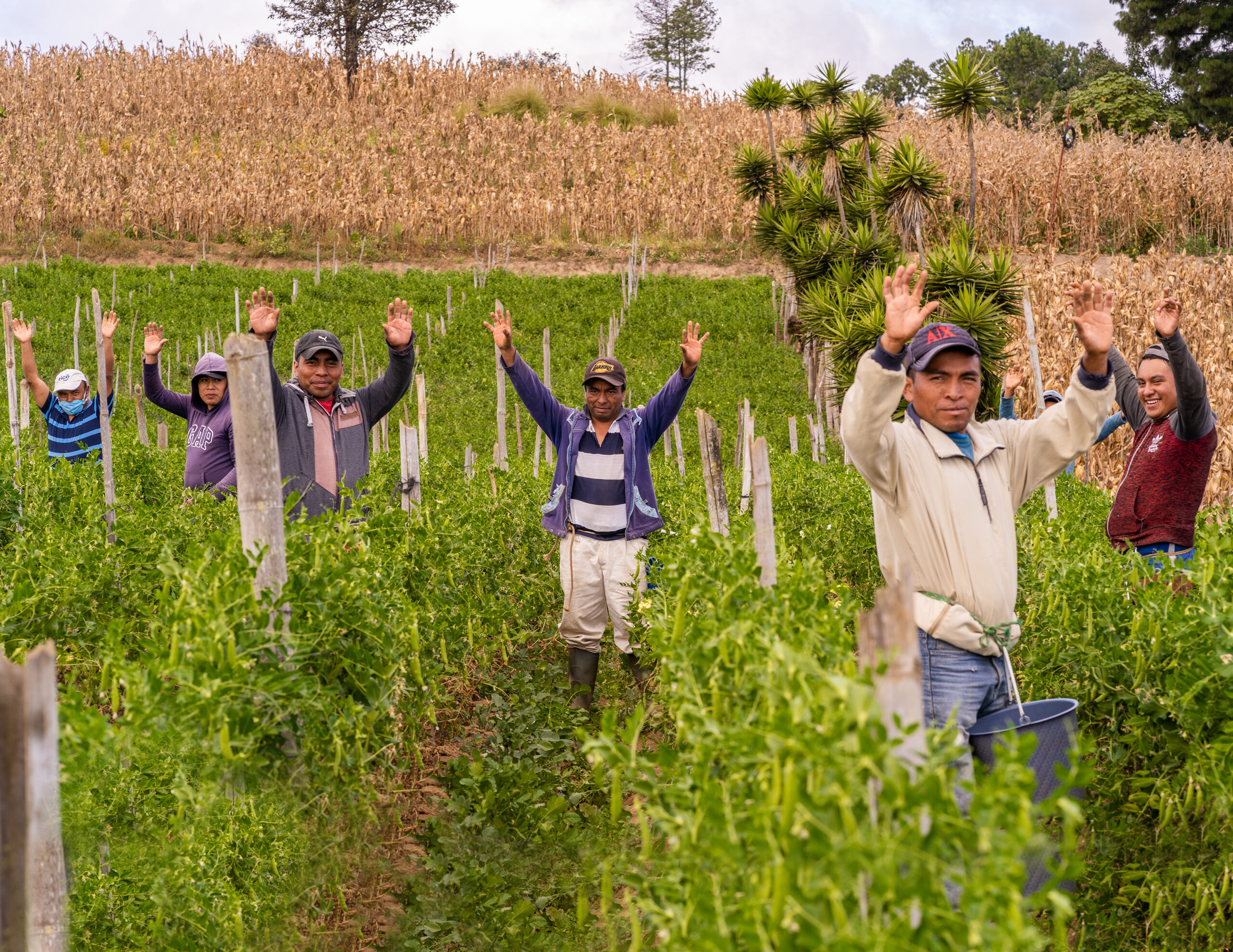 How Job Creation Can Help End Global Poverty—and Fuel Economic Growth