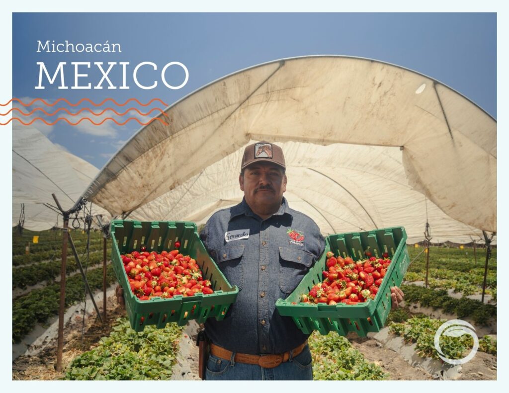 A man stands with two baskets of strawberries in Mexico. 