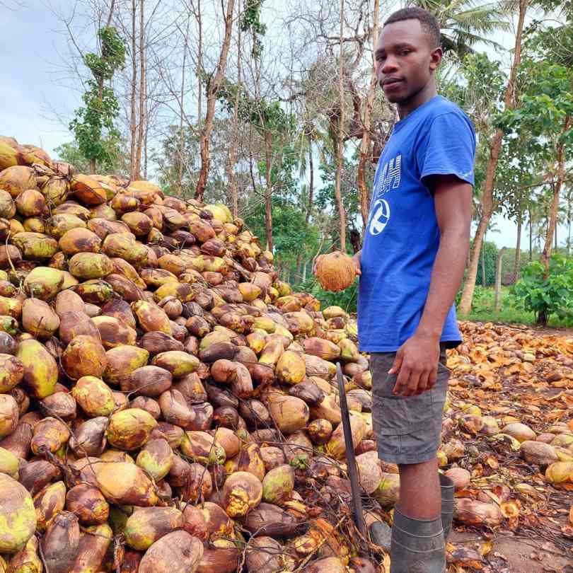 Cocnut Farmer, Kenya