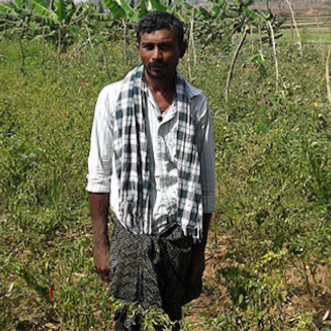 Anjaneya, Farmer, India