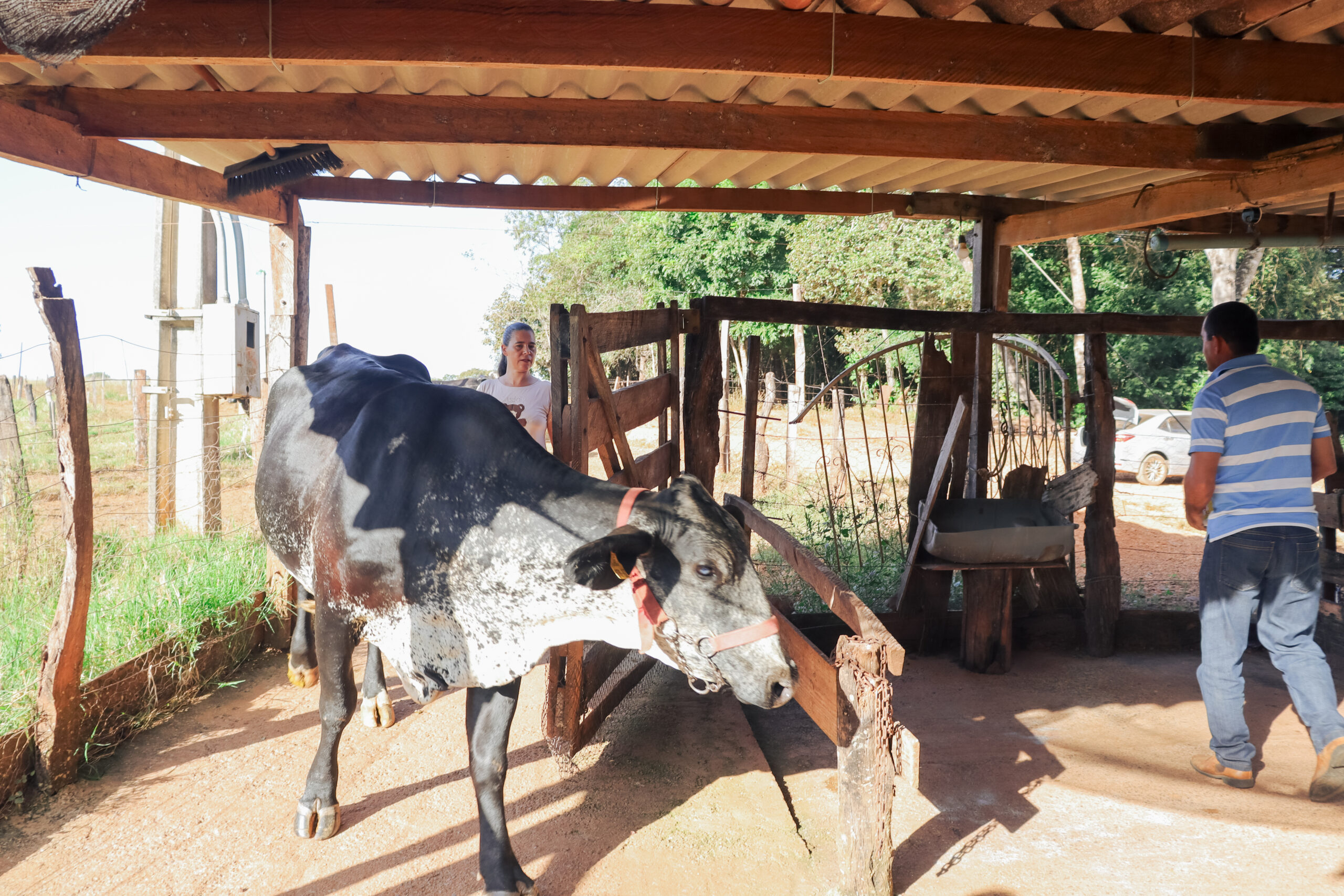 Jancarlo Silva (son), Suelene Silva (wife), and Valdimar Silva (husband) on their farm in Barro Alto, Brazil. Suelene and Vladimar are clients of the Crescer program funded by Anglo American. Photos by Khalila Lopes for TechnoServe. June 2025.