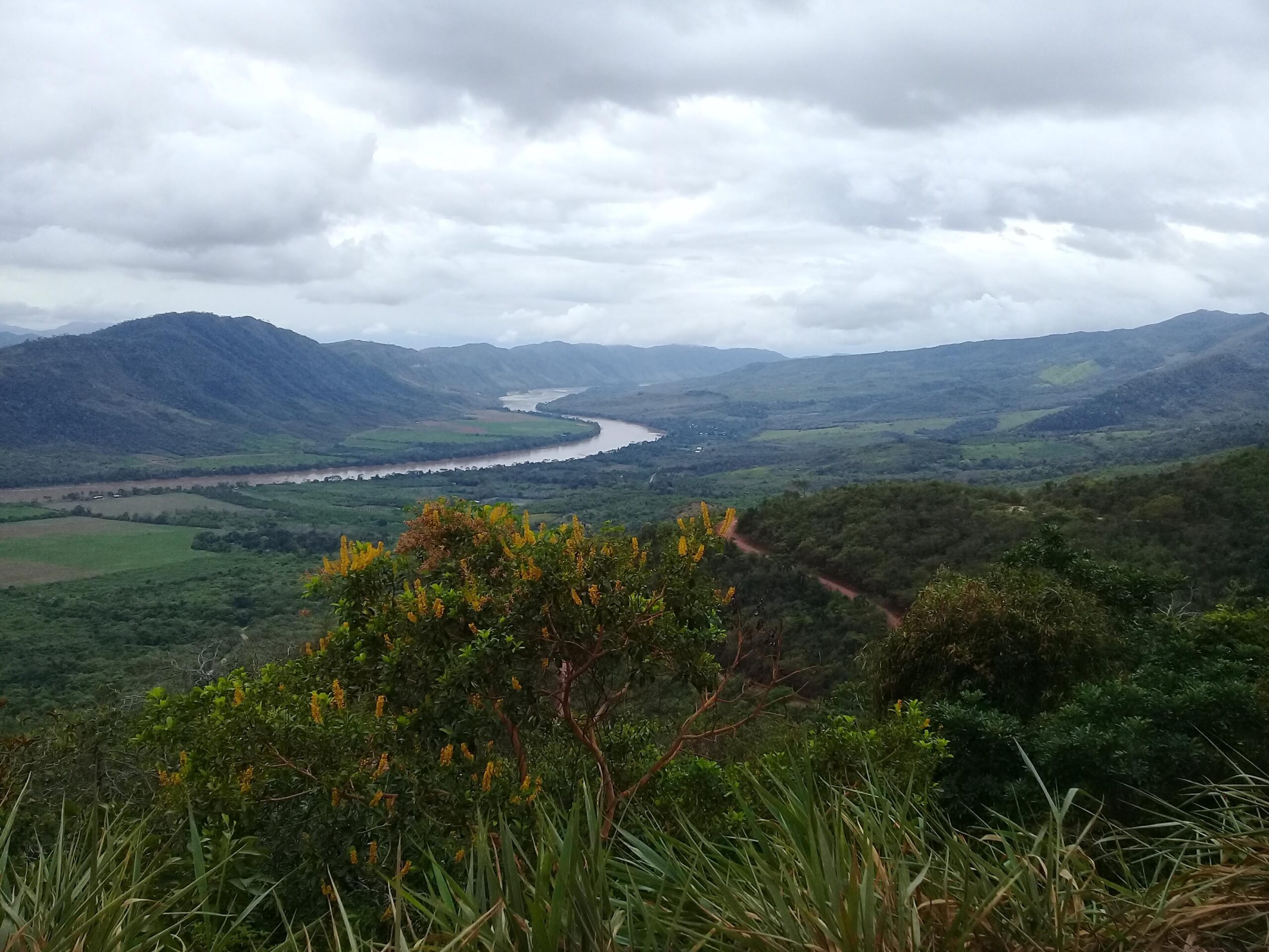 Economic Development in the Amazon Rainforest