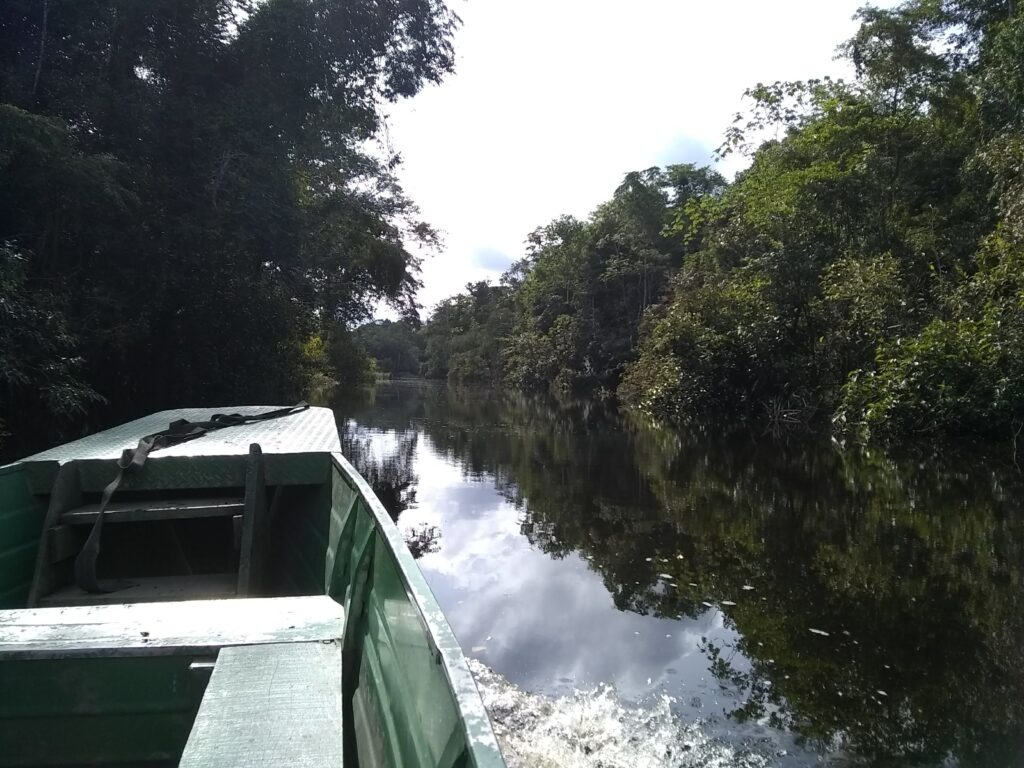 A boat traveling down a river surrounding by Amazon rainforest