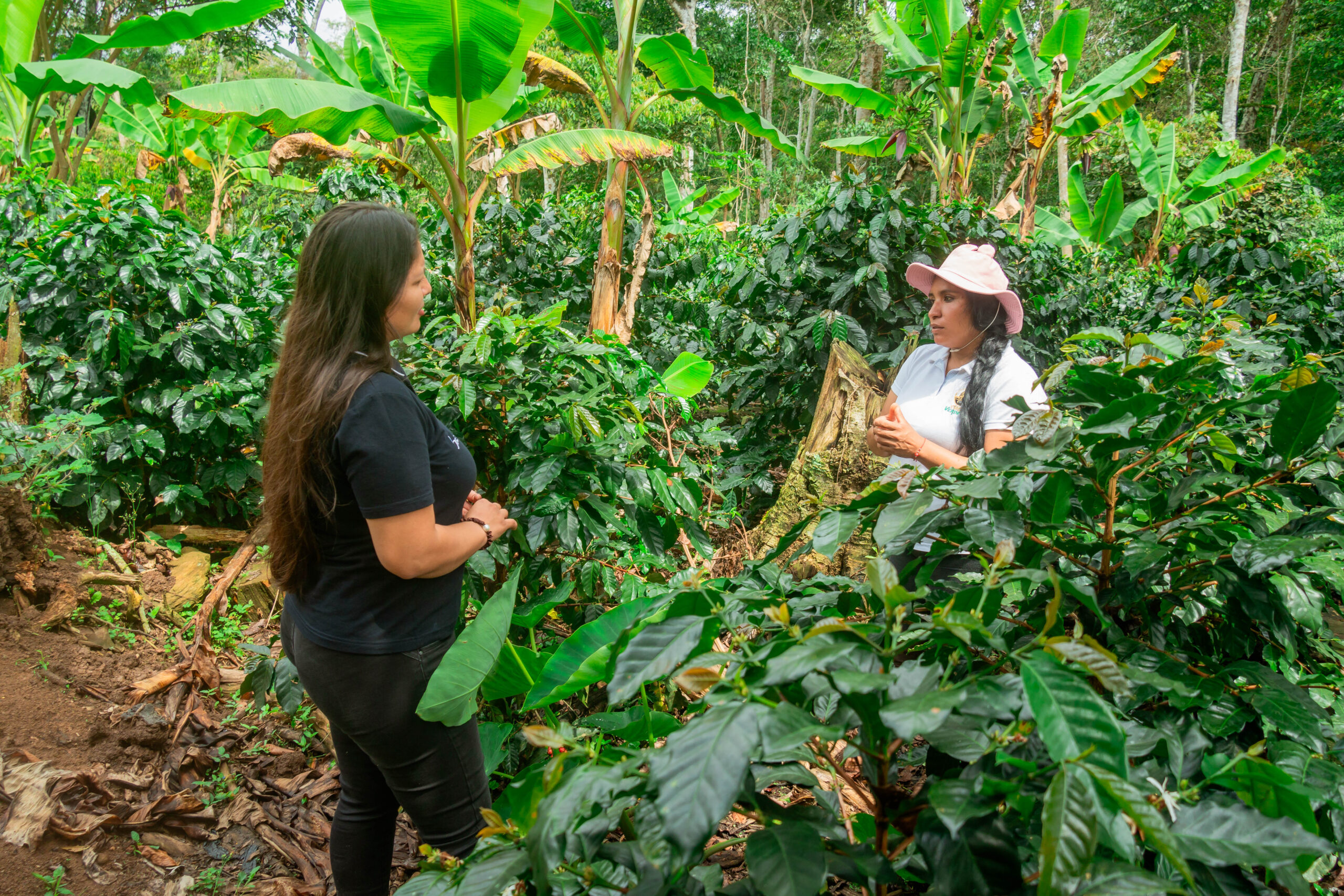 How Women Coffee Farmers Lead Sustainable Coffee Farming in Peru