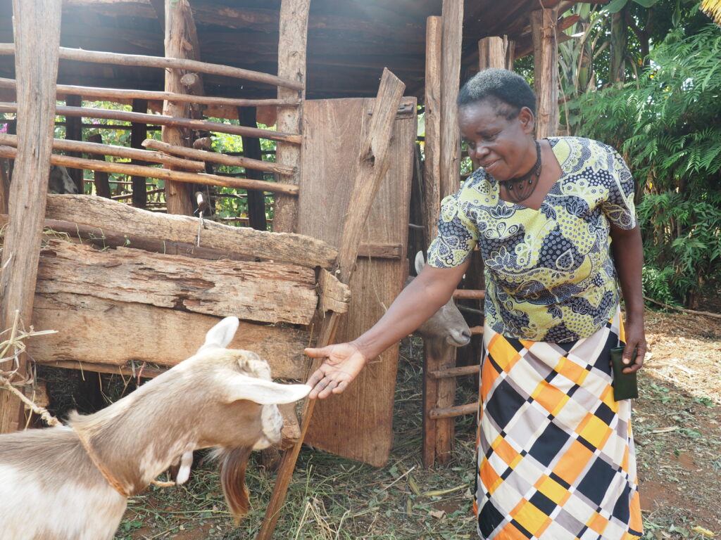 Magdalene Gachungiri holds out a hand to one of the goats she purchased with her additional income from connecting to better markets, on her farm in Kenya.