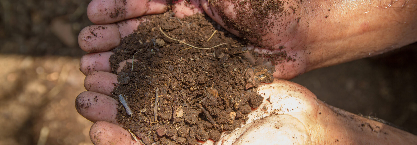 A farmer in India holds compost in his two hands