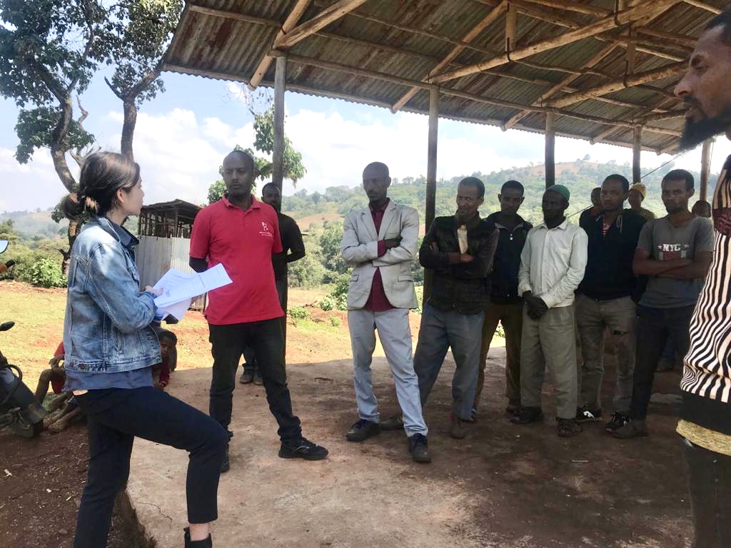 Coffee farmers share their expertise and experiences with Ginny Maceda in Oromia, Ethiopia.