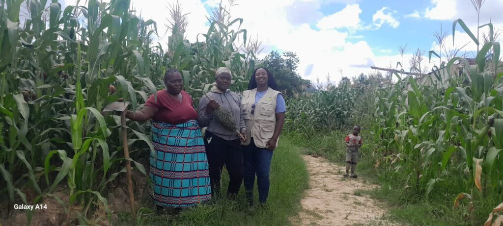 Sione (right), a TechnoServe field technician, with Alberina (center), a village-based advisor, and Maria (left), a lead farmer in Mozambique&rsquo;s Manica district (TechnoServe / Sione Simao)