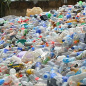 Plastic bottles are collected at a location in Nigeria.