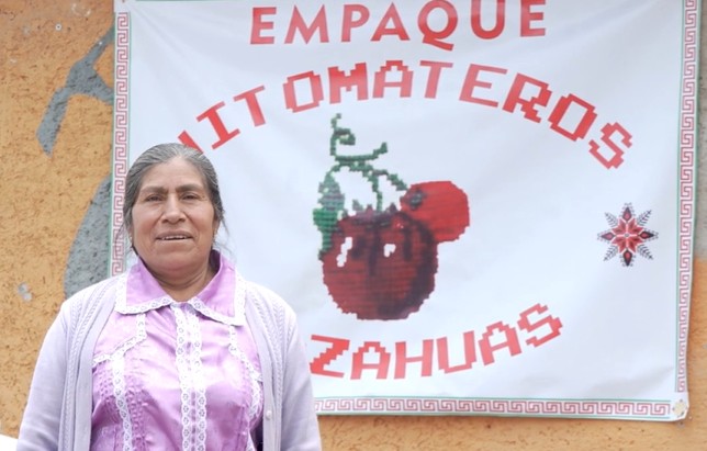Mercedes S&aacute;nchez, a tomato producer and administrator of the Jitomateros Mazahuas agribusiness. (TechnoServe)