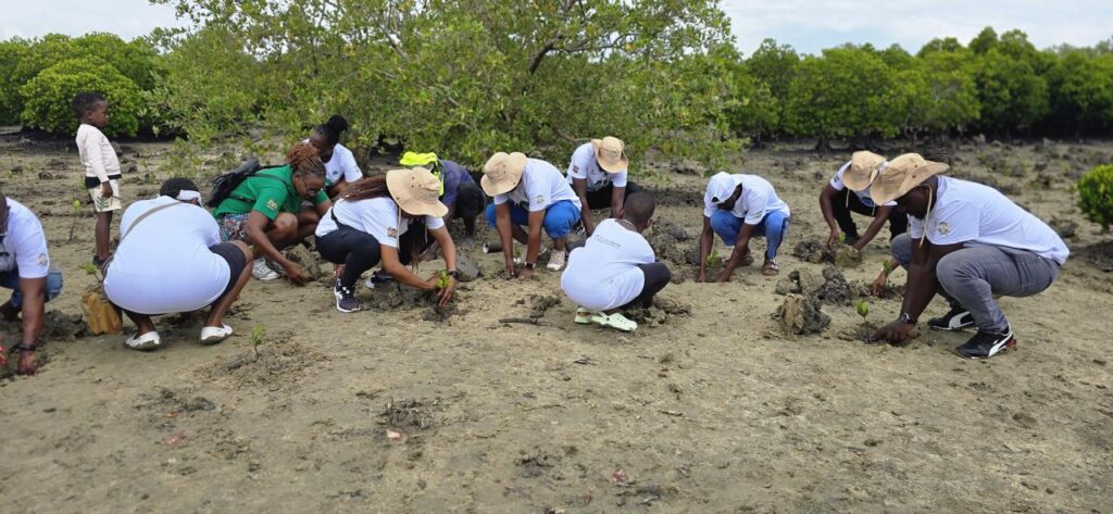 The BlueBiz program team during a mangrove restoration exercise in Tudor Creek, Mombasa County, Kenya.