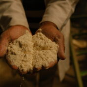 man holding a scoop of flour, food fortification, technoserve