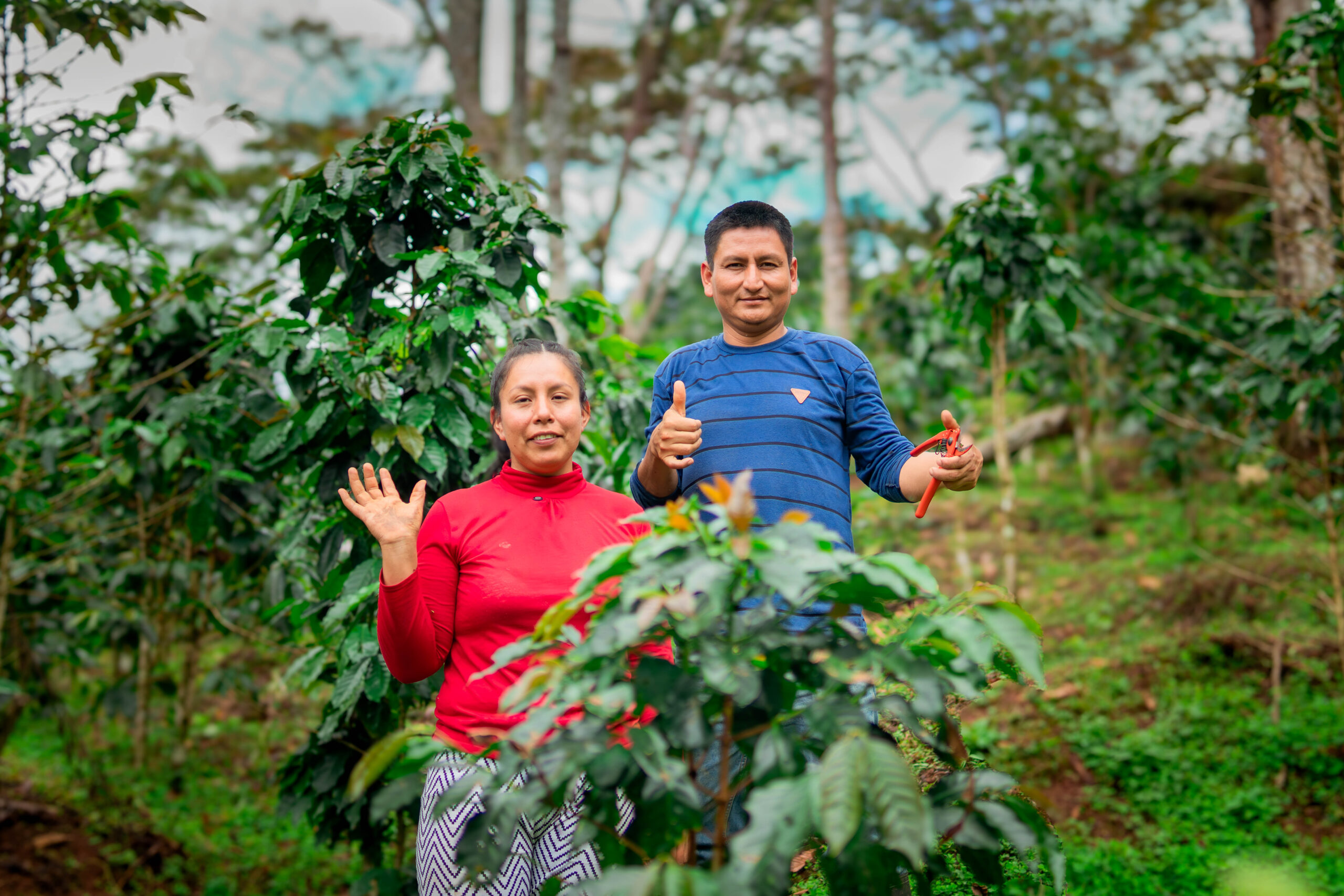 Abigail Espinoza and César Valentín are coffee farmers in Tingo María, Peru.